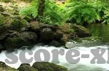 电子足球比分直播网-电子足球比分直播网,足球迷的数字盛宴与信息枢纽