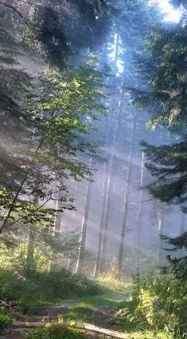 足球周五比分-周五足球盛宴,比分背后的激情与悬念